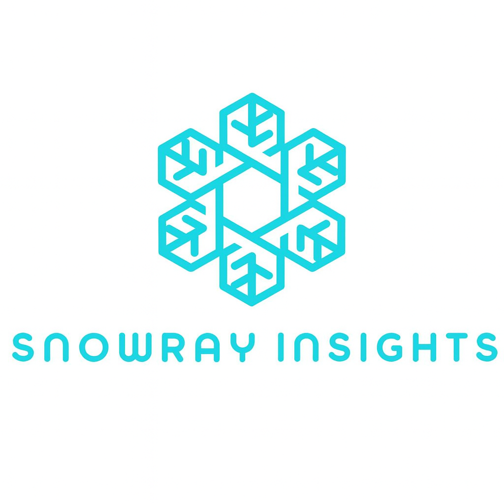 Snowray Insights logo